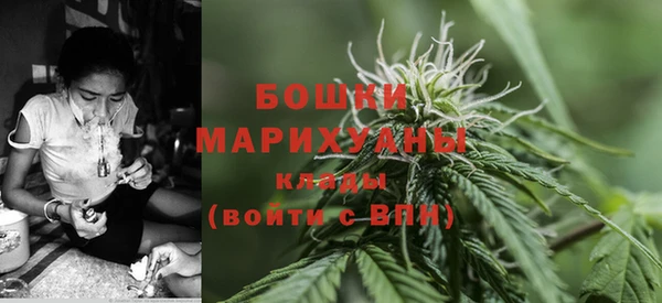 спиды Аркадак