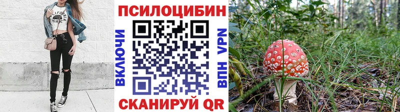 Галлюциногенные грибы GOLDEN TEACHER  наркотики  Россошь 