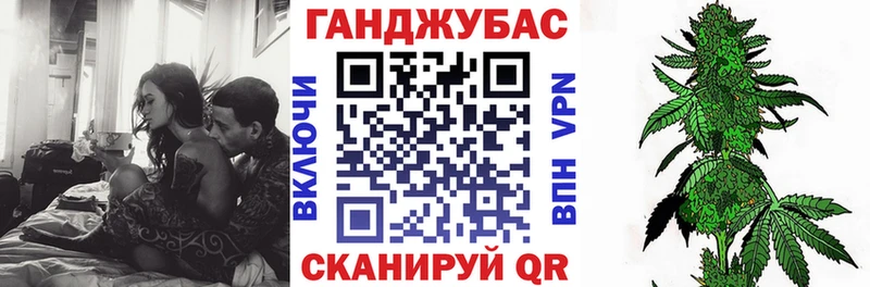 Конопля гибрид  Россошь 